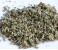 Damiana (Turnera diffusa) Pulver 50g